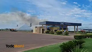 Se incendia una celda de maní en una importante empresa de Pasco