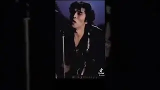 Белый снег, серый лёд...