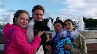 Телефон VS животные