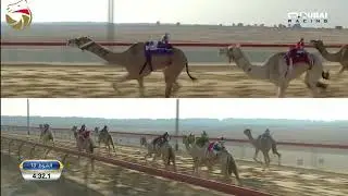 إيذاع للشيوخ - المرموم 3-11-2024 ش13 هقاوي لـ الشيخ محمد بن ذياب بن سيف آل نهيان - 7:55:3