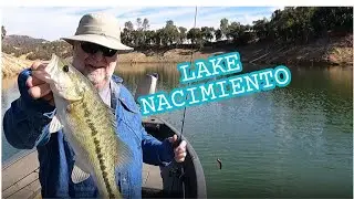 There are times the NED RIG catches more quality BASS than anything else