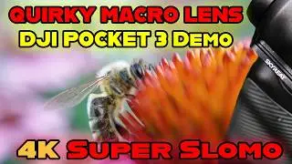 Wild Quirky Macro Lens for DJI Pocket 3 Demo | Skyreat