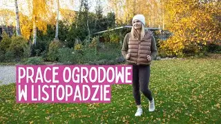 Listopadowe Prace Ogrodowe: Pielęgnacja Bylin, Sadzenie Cebul Tulipanów i Co Robić z Liśćmi
