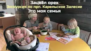 🏡 Зацвёл орех / Это моя семья / Экскурсия по прп. Карельское Залесие