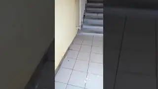 Потоп после дождя в Екатеринбурге