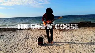 Camel - The Snow Goose (432 Hz Guitar Cover)