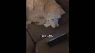 flip phone tape
