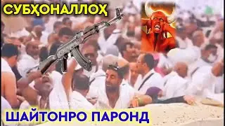 СРОЧНО! ИН МАРД ШАЙТОНРO ПАРОНДЕСТ 😱