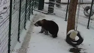 Когда очень рад снегу🤸‍♂️🙃