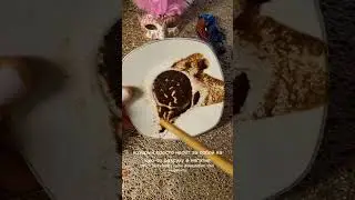что уйдет из вашей жизни