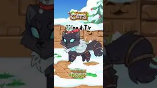 Castle Cats and Dungeon Dogs our latest Winter Heroes! ❄️ Have you gotten any of them already? ✨