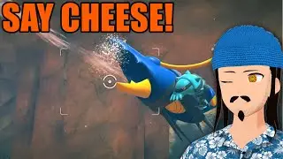 New Pokemon Snap Part 8 🎮 Let's Play 🎮 - Desert And Sea! New Routes To Explore?