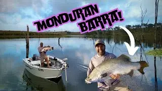 MY FIRST METER BARRA! - lake Monduran