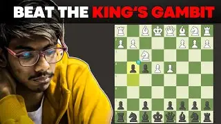 How To Beat The King's Gambit