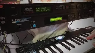 Falling In Love Again With The Roland MKS-50 And Yamaha TX81Z