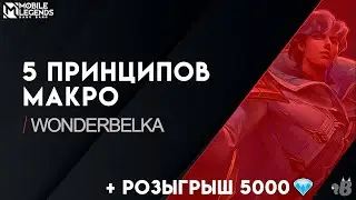 МАКРО в МЛ: 5 принципов от Белки для ВСЕХ рангов