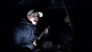 Песня про кошку баську.