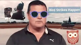 Bird strike story (Rick)