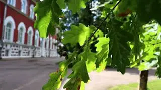 День района