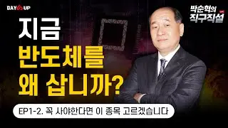 [박순혁의 직구직설] 지금 반도체를 왜 삽니까? 꼭 사야한다면 이 종목 고르겠습니다.