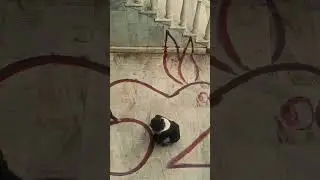 Bir Gün Ol Yerimde 