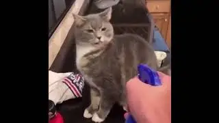 Oh it seems he is immune