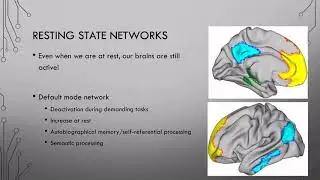 11 Brain Networks Pt2