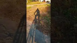 Лучшие моменты трансляции 