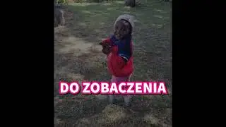 Charytatywny Bal Afrykański