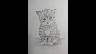 Урок по рисунку. Котенок простым карандашом