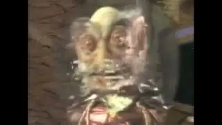 Commander Toad in Space (1993)