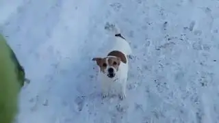 Каталыч и Чипа