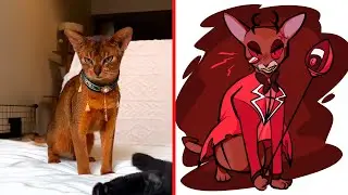 Cat Memes: Cursed Cat ALASTOR 😱 The FUNNIEST Pet Videos of 2024! 🤣 BEST Compilation