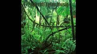 Pharrell Tyler Music - jungle (Instrumental)