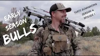 Wyoming archery elk early season