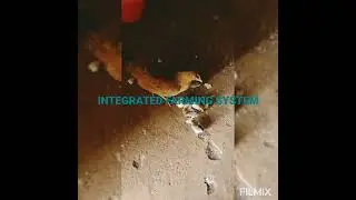 IFS