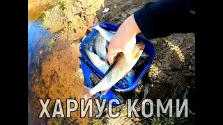 ТАЕЖНАЯ  РЫБАЛКА НА ХАРИУСА! 2ЧАСТЬ