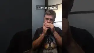 Чистые пруды на губной гармошке