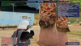Ameli