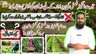 How to increase crop production, best agriculture tips فصل کی پیداوار کو کیسے بڑھایا جائے |IR FARMS