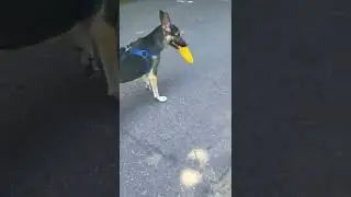 Пупочка идёт к речке 2