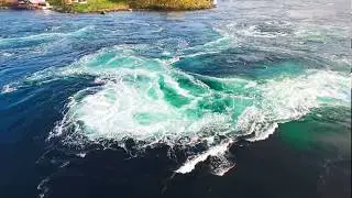 Norwegian Nature: Saltstraumen on an autumn day