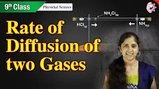 Rate of diffusion of two gases | Diffusion | Chemistry 9th class | by Scientia Tutorials