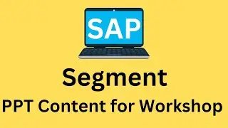 Segment in SAP