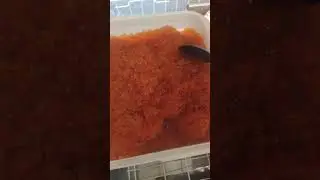 икра горбуши свежайшая июль месяц 21г