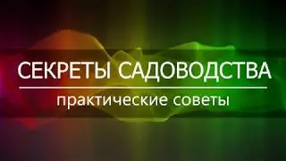 Sony vegas Техника подложка. Секреты садоводства. .