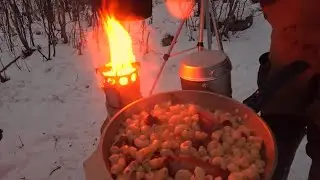 поход в лес,приготовили еду на щепочнице и примусе 