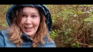 California Dreamin': A Memorable Road Trip to the Golden State (Part 1)