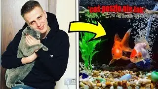 NITRO MIAŁ OPIEKOWAĆ SIĘ RYBKAMI SYNA, KILKA GODZIN PÓŹNIEJ ZDECHŁY *załamał się*
