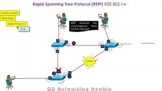 Rapid Spanning Tree Protocol (RSTP) | IEEE 802.1w | RSTP Port Roles and States